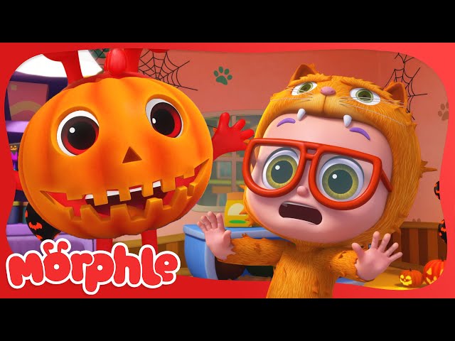 The Pumpkin Prince 🎃 Halloween Cartoons for Kids | Mila and Morphle