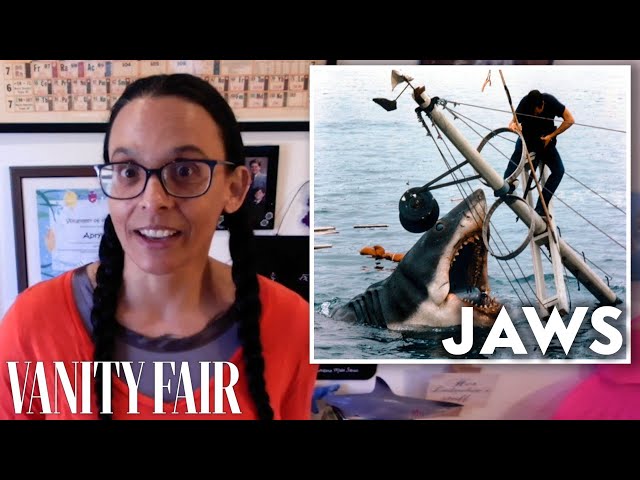Marine Scientist Reviews Shark Attack Scenes, from 'Jaws' to 'Open Water' | Vanity Fair