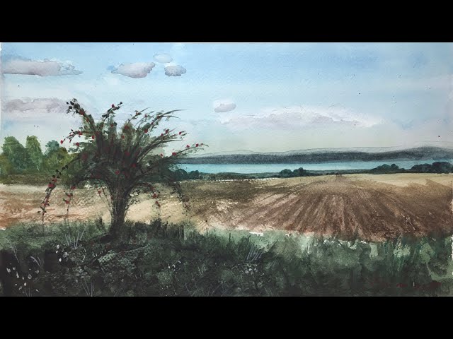 Wild Rose Bush at Lake Balaton - Watercolor Painting Demo - By Vamos