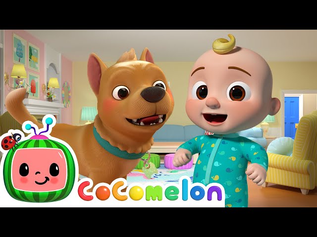Bingo! | CoComelon Animals | Animals for Kids