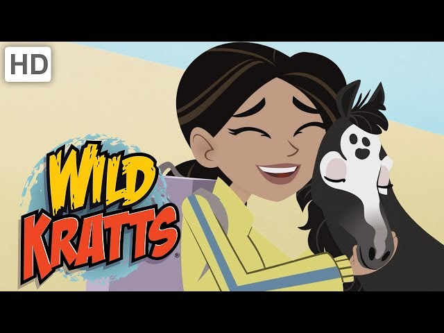 Wild Kratts - Furry Friends: Hamsters and Ponies | Kids Videos