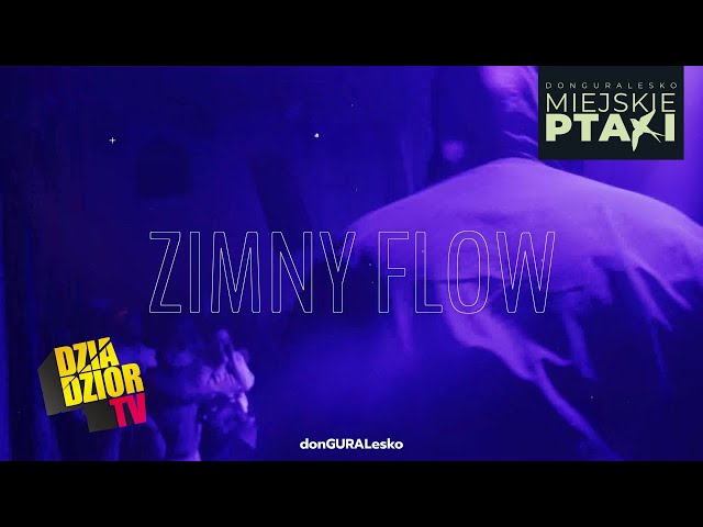 DGE - Zimny Flow (prod. Look.out, skrecze DJ Soina) [MIEJSKIE PTAKI]