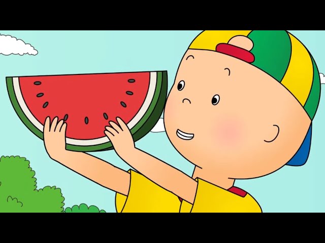 ★ Caillou has a Picnic ★ Funny Animated Caillou | Cartoons for kids | Caillou