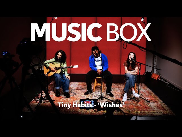 Tiny Habits 'Wishes' Acoustic performance on Music Box
