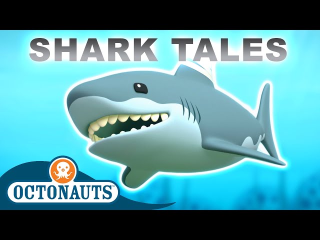 Octonauts - Shark Tales | 40 Mins+ | Cartoons for Kids | Underwater Sea Education