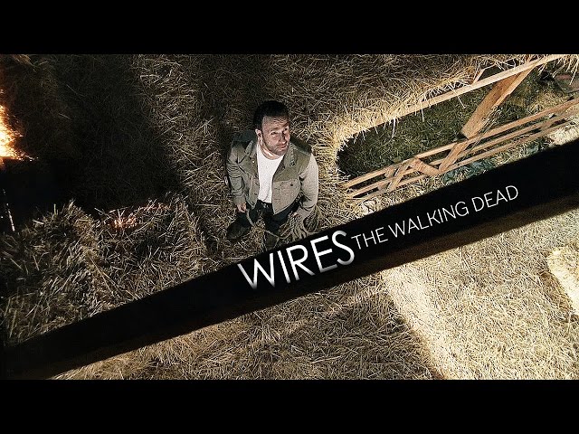 The Walking Dead || WIRES