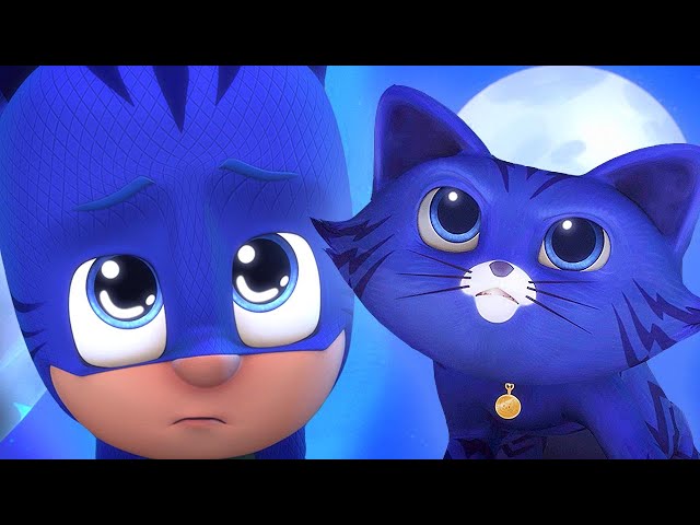 Catboy turns into a real CAT! 😺 PJ Masks Official
