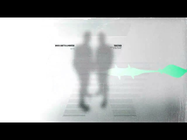 David Guetta & MORTEN - Together [Visualizer]