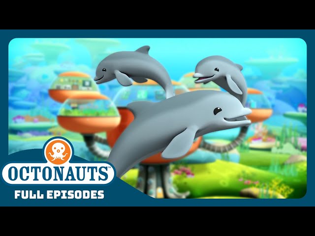 @Octonauts - 🐬 The Dolphin Reef Rescue  ⛑️ | Season 1 | Full Episodes | Cartoons for Kids