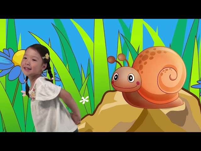 Looking at Bugs | Sing and Play Blue Adventures | Simple Skits and Songs for Kids