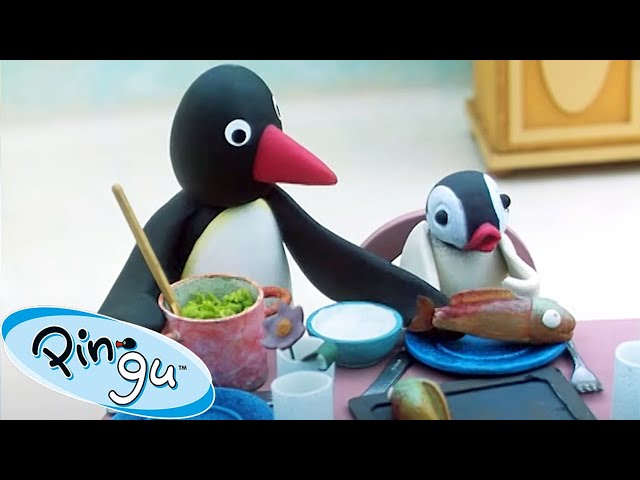 Pingu has Company! 🐧 | Pingu - Official Channel | Cartoons For Kids