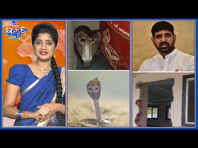 iSmart News : క్యాంపాఫీస్ వాస్తు మార్చేస్తున్న ఎమ్మెల్యే || వంటరూంలో పరేషాన్ చేసిన పాము - TV9