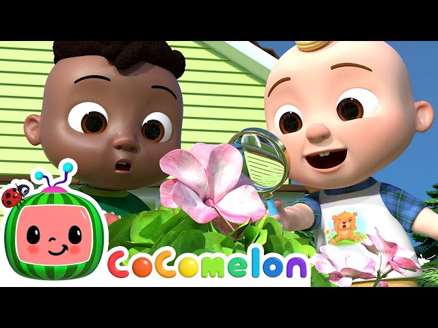 I Spy (Painting Song) | CoComelon - It's Cody Time | CoComelon Songs for Kids & Nursery Rhymes