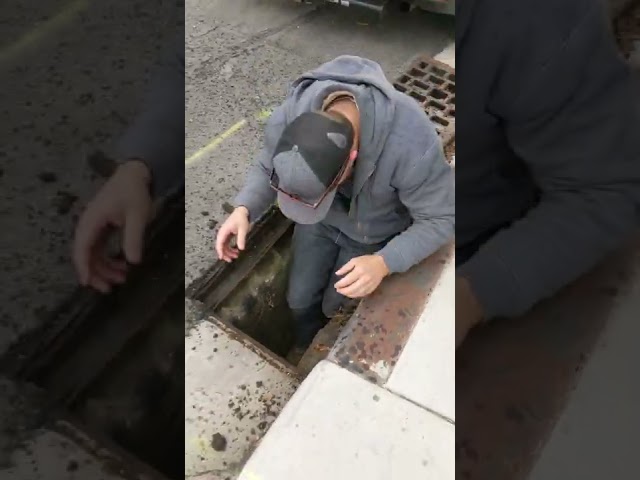 Family Rescues Ducklings Trapped in Storm Drain