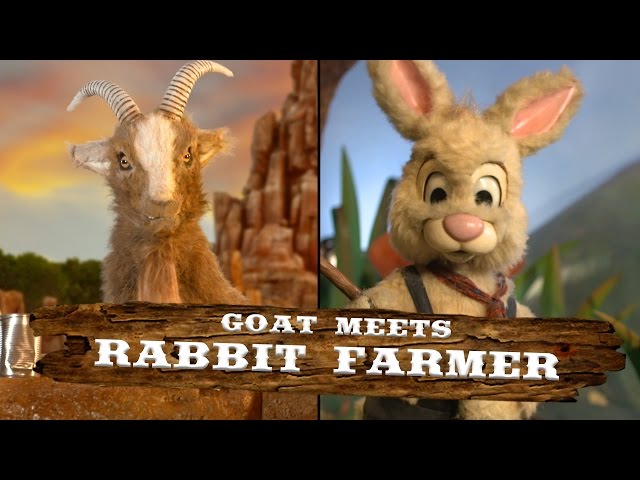 Rabbit Farmer | Walt Disney World Goat Friends | WDW Best Day Ever