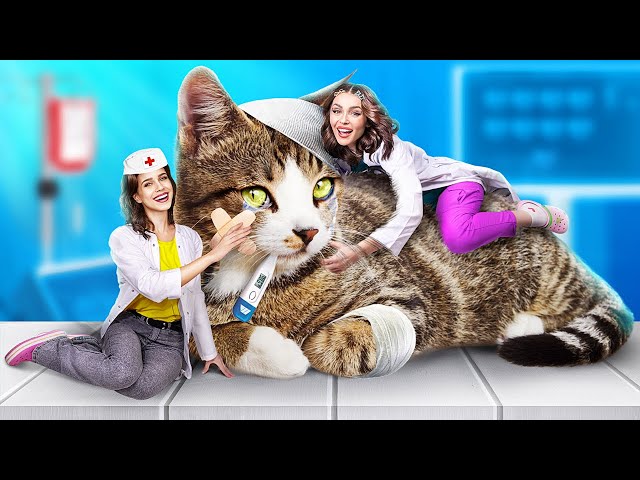 Extreme Pet Rescue in Hospital! How to Take Care of Your Pet!