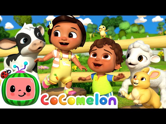 Baby Animal Dance | CoComelon Nursery Rhymes & Kids Songs