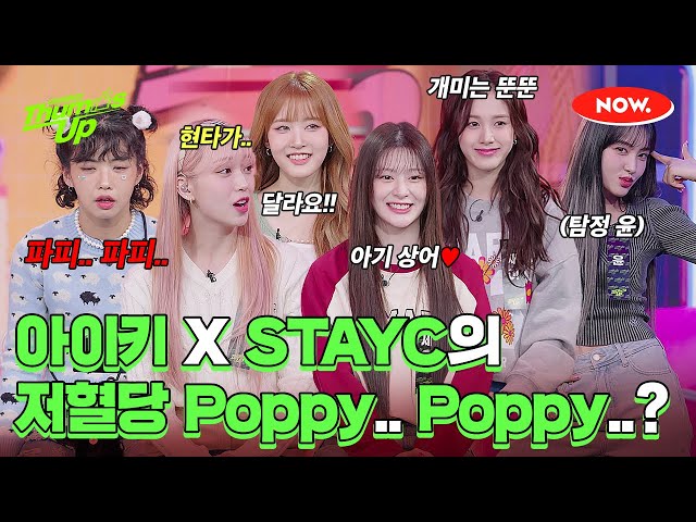 아이키가 부르는 STAYC의 Poppy... Poppy... (저혈당 주의🤣) [아이키의 떰즈업]ㅣ네이버 NOW.