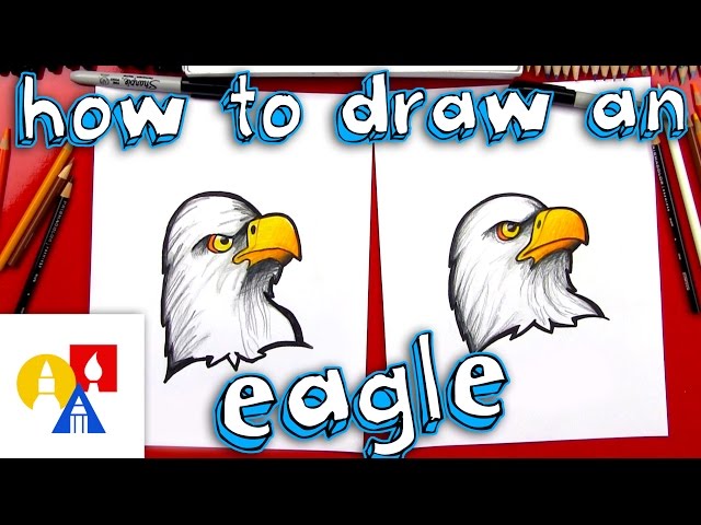 How To Draw A Realistic Bald Eagle Head