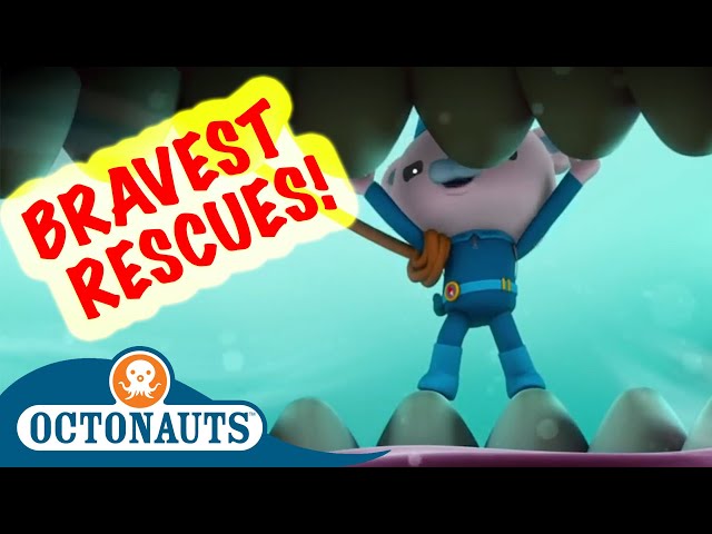 Octonauts Summer Special! - The Octonauts' Bravest Rescue Missions | Cartoons