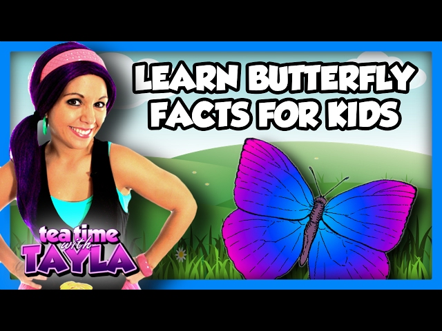 Learn Butterfly Facts for Kids on Tea Time with Tayla