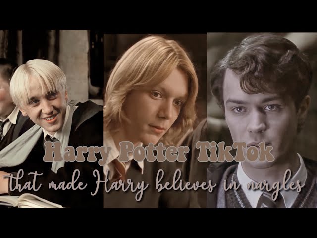Harry Potter TikToks that made Harry believe in Nargles