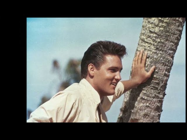Elvis Presley - King of the Whole Wide World