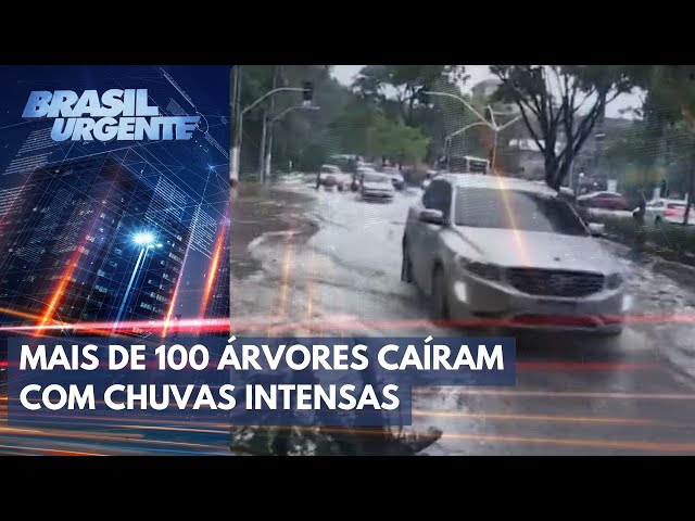 Chuva intensa atinge Grande São Paulo | Brasil Urgente