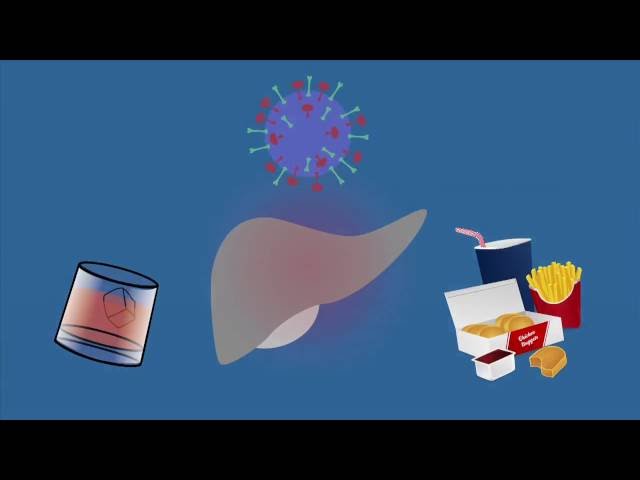 Immunology Advance: How an Immune Molecule Initiates Liver Fibrosis