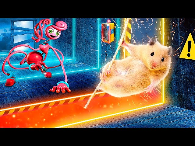 If Hamster Was in Poppy Playtime! Hamster vs Mommy Long Legs