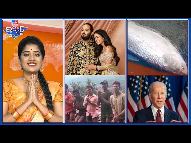 iSmart News : రూ. 24 వేల పులస.. ముక్కతింటే ఆహా అనాల్సిందే! | అంబానీ లగ్గం అదిరింది బాసు! - TV9