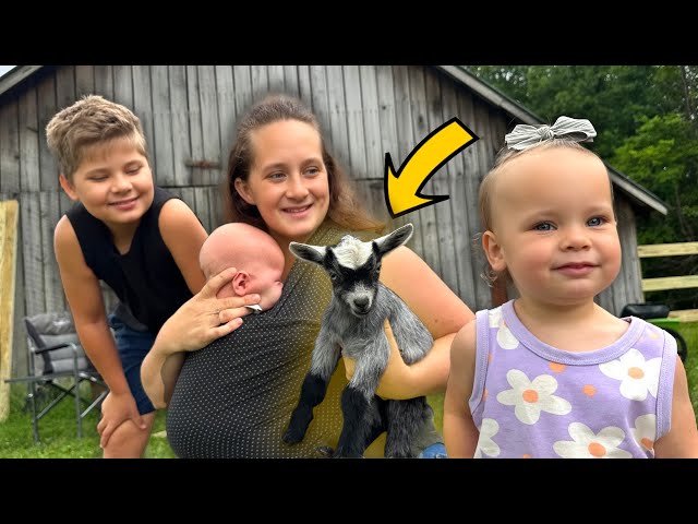 Meet Our Newborn Baby Goat!!