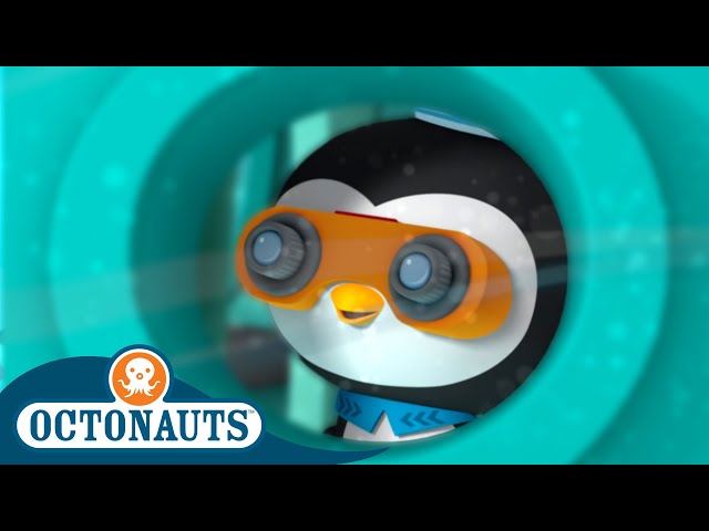Octonauts - Ocean Camp | Cartoons for Kids | Underwater Sea Education
