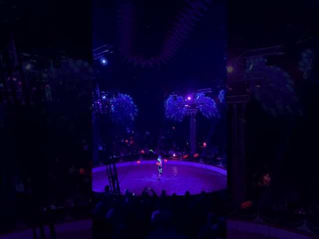 Humberto Circus, Prague. Ludvík Navrátil