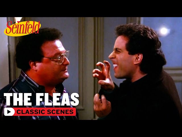 Jerry Has Fleas | The Doodle | Seinfeld
