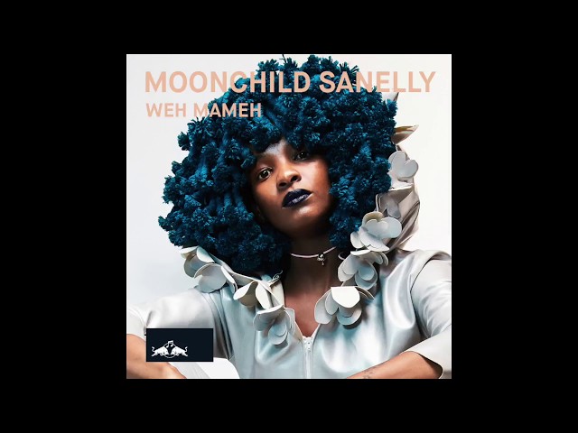Moonchild Sanelly - weh mameh