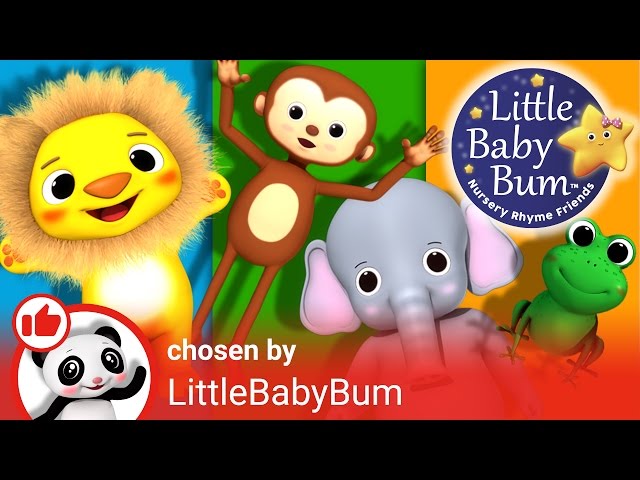 Animals Curated Playlist Intro! | Nursery Rhymes | By Learn with Little Baby Bum