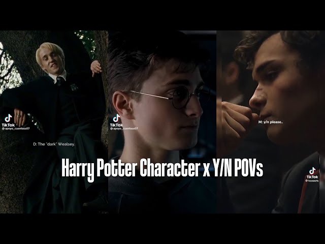 Harry Potter Characters x Y/N TikTok POVs