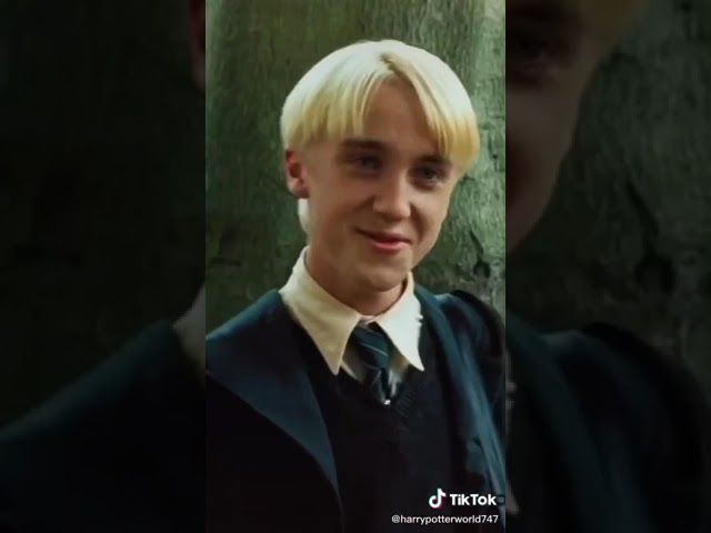Y/N flirting with Draco