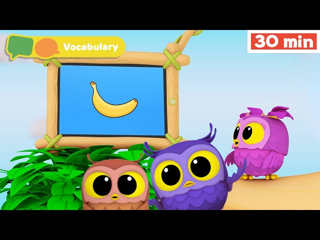 Hoot, Scoot & What | Learn Vocabulary for Kids | First Words | Fruits for Babies | First University