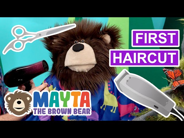 Getting a Haircut | Videos for Kids
