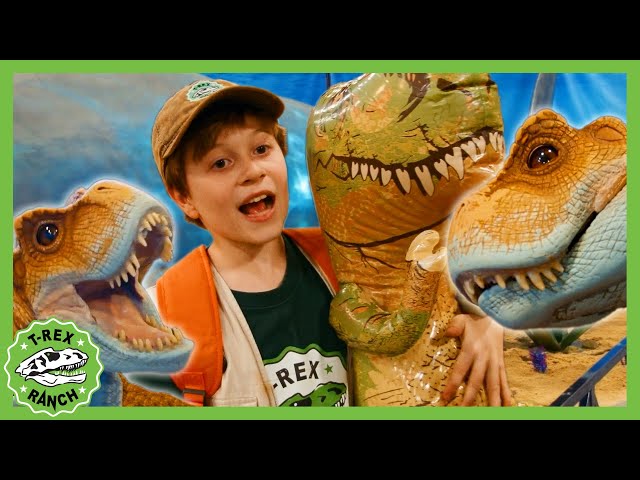Can You Find the Baby T-Rex?! | T-Rex Ranch Dinosaur Videos for Kids