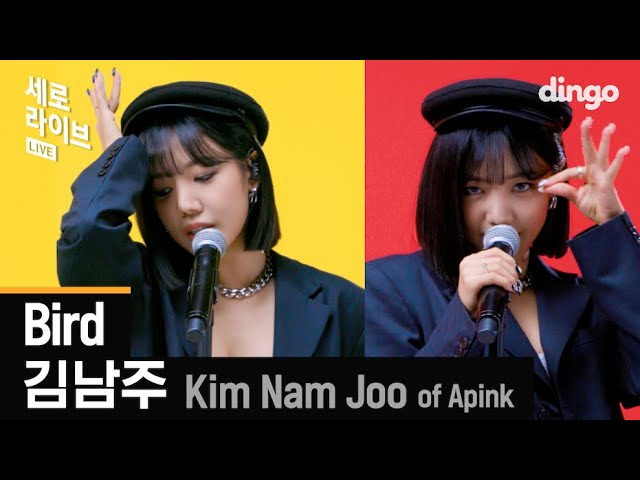"Bird" by KIM NAM JOO of Apink, written and composed by So-yeon of (G)I-DLE 🦅 ㅣDingo Music
