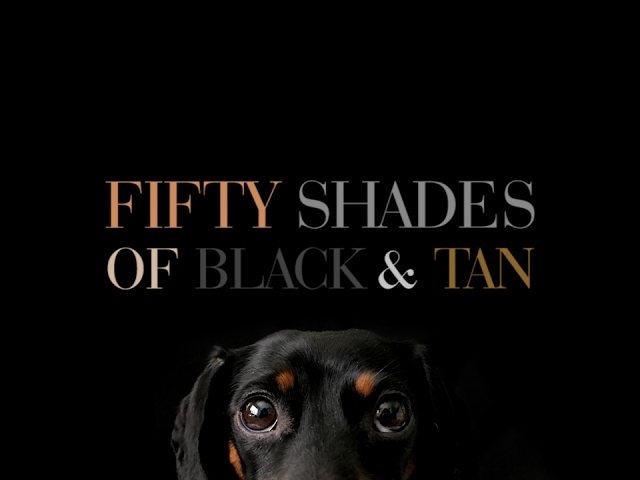 Fifty Shades of Black & Tan - Official Dachshund Trailer