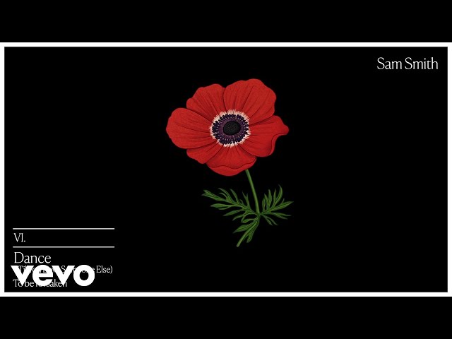 Sam Smith - Dance ('Til You Love Someone Else) (Visualiser)