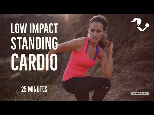 25 Minute Low Impact Standing Cardio:  Knee Friendly No Jumping Home Workout to Burn & Tone