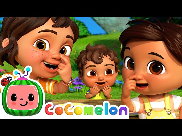 Simon Says Song | CoComelon Nursery Rhymes & Kids Songs