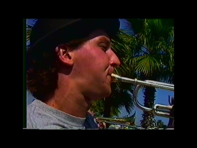 Reel Big Fish - Live at Long Beach Fest 1996 (VHS Home Video)