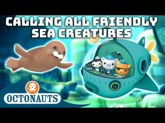 ​@Octonauts - 🔊 Calling All Friendly Sea Creatures 🦭 | Anti-Bullying Month | Ocean for Kids