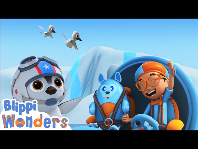 Can Penguins FLY?! | Blippi Wonders | Educational Cartoons for Kids